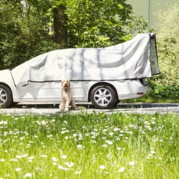 Sonnenschutz Schattennetz Hitzeschutz Alunet® 3x5 m Größe M für größere Autos