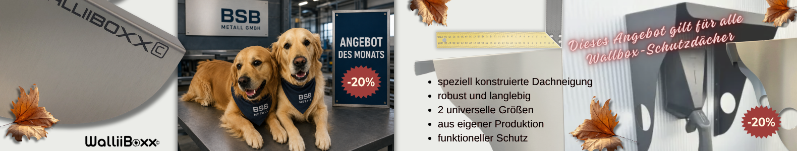 20% Rabatt auf alle Wallbox-Schutzdächer im September 2026 20% Rabatt auf alle Wallbox-Schutzdächer im September 2026
